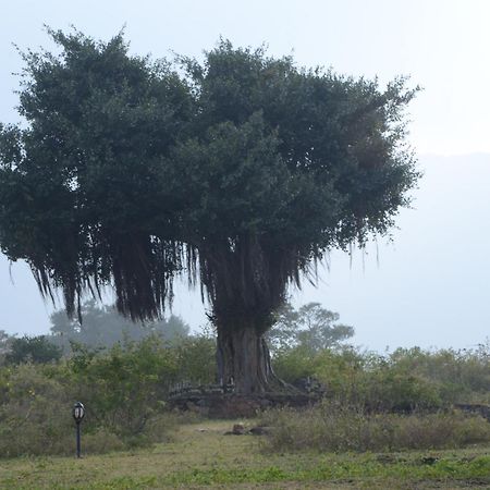 Aarraams Farms & Resorts Masinagudi Quarto foto